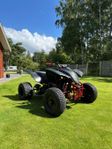 SMC Wildcat 520 lågmilare