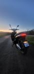 drax raw elmoped