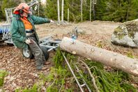 Nyvab ATV Skogsvagn / Timmervagn m. Radiostyrd Vinsch