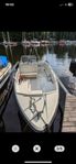Flipper sunfish 