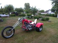 VW 1600 Trike Custom