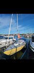 Linjett 30