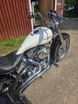 Harley trike