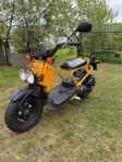 2008 Honda Zoomer