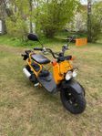 2008 Honda Zoomer