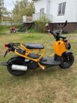 2008 Honda Zoomer