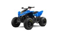 ATV CF MOTO CFORCE 110CC BLÅ
