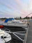 Polar 25