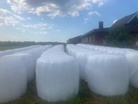 Ensilagebalar kravgodkända