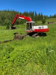21 Ton Porclain, en klenod