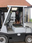 Hyster 2,5 t gasol truck 