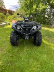 Grizzly xtr 700 t3B