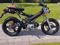 Sachs Madass