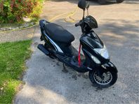 Jättefin Viarelli Enzo 2018
