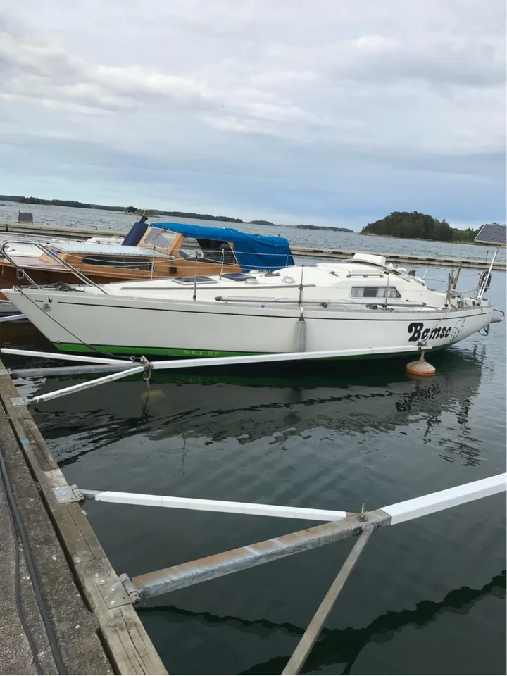 Scampi 30 image