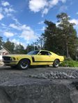 Ford Mustang Boss 302 1970