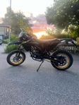 Rieju drac Nightrider 2022