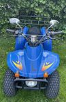 Lifan 49 cc 