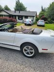 Ford Mustang V6 Convertible