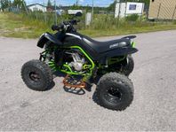 Dinli 450cc