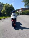 Pgo big max 50cc