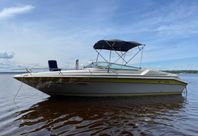 SEARAY 260 CC MAGNUM 502