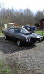 Ford Torino Gran Sport 2-dörrars Hardtop 5.8 V8 SelectShift