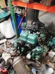 Volvo Penta MD 11