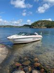 Sting 610 BR, Evinrude G2 150hk