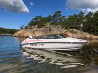 Sting 610 BR, Evinrude G2 150hk