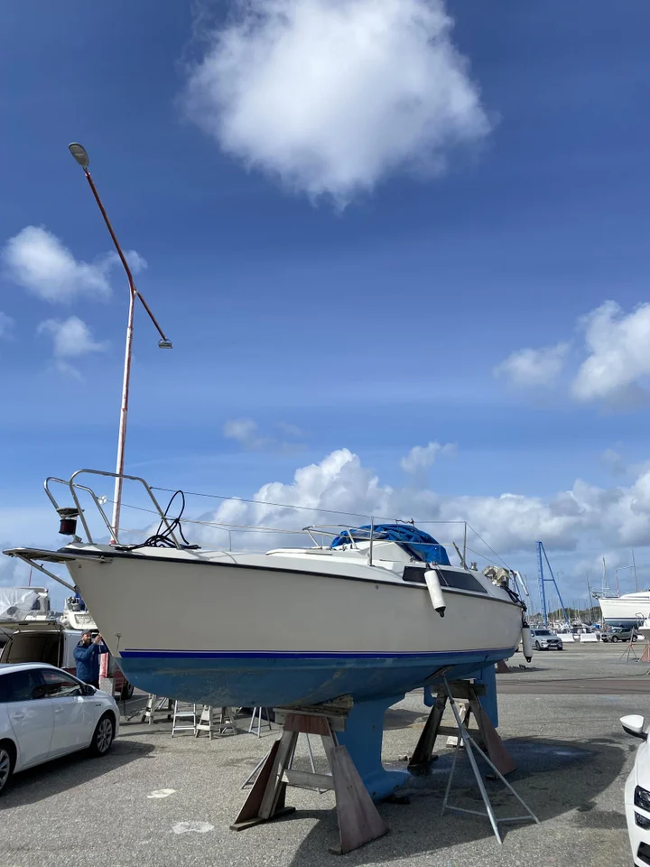 Maxi 77 1981 image