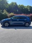 Kia Niro Hybrid DCT Advance Plus, EX, GLS Euro 6, 2020