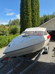 Stingray 190