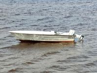 Örnvik 450