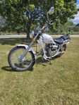 Eu moped chopper