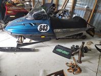 Skidoo rejschassie 