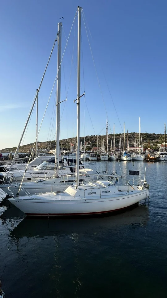 Albin Accent, fin segelbåt image