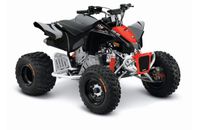 Can-Am DS 90 X