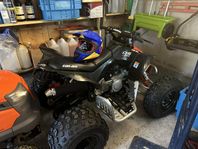 Can-Am DS 90 X