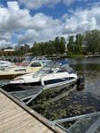 Finnmaster 5300 Br , Yamaha F80