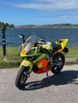 Derbi GPR 50 Malossi