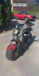 Elmoped / Fatbike (klass 1) Ny
