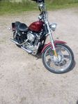 Harley Davidson 1200