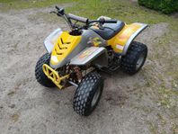 Fyrhjuling 110cc
