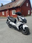 Viarelli Monztro årsmodell 2020
