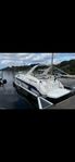 Regal 322 commodore