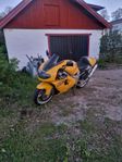 Suzuki TL1000R