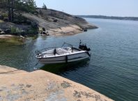 Ryds 490 VI S-line, 60hk Mercury