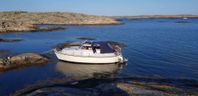 Polar 29