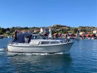 Polar 29